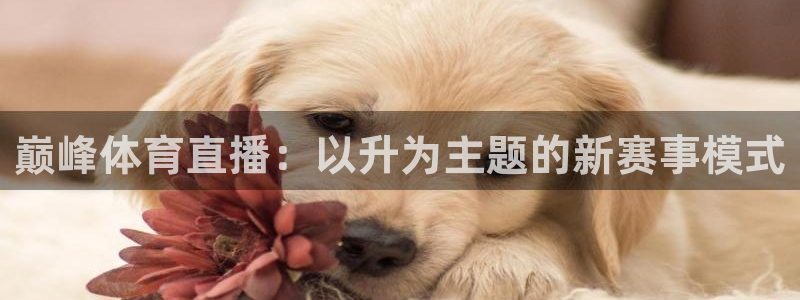 nba蓝鲸直播