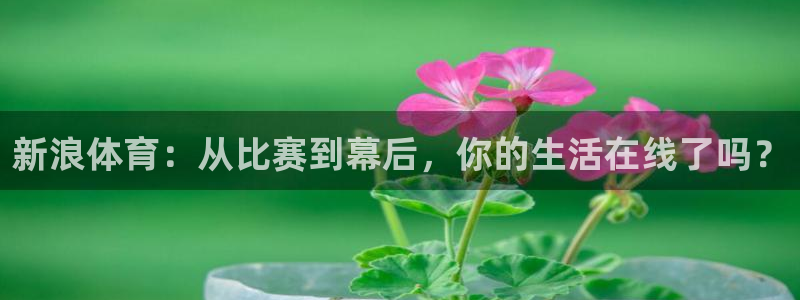 蓝鲸同志直播