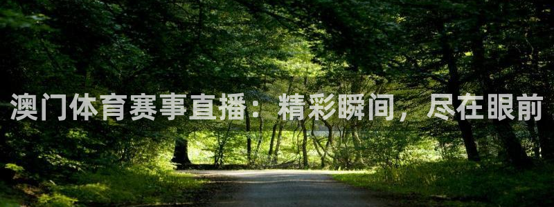 蓝鲸体育高清直播官网入口：澳门体育赛事直播：精彩瞬间，尽在眼前
