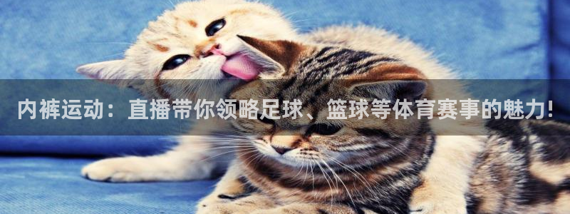 蓝鲸体育直播手机版