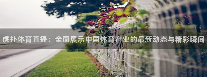 蓝鲸体育直播间：虎扑体育直播：全面展示中国体育产业的最新动态与精彩瞬间