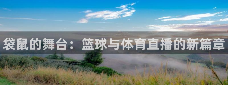 蓝鲸体育在线观看：袋鼠的舞台：篮球与体育直播的新篇章