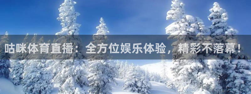 蓝鲸足球直播：咕咪体育直播：全方位娱乐体验，精彩不落幕！