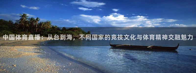 蓝鲸 直播：中国体育直播：从台到海，不同国家的竞技文化与体育精神交融魅力