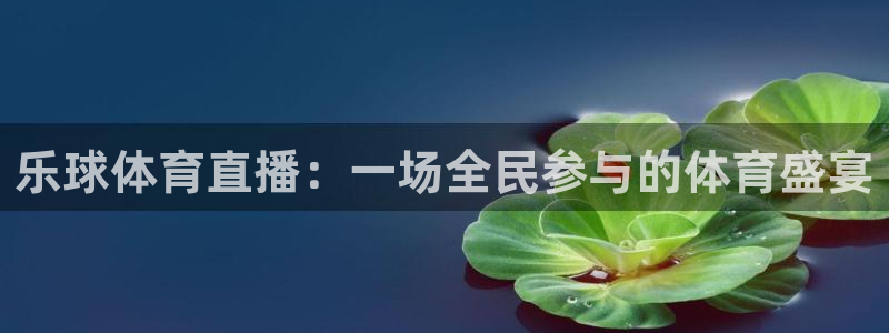 蓝鲸直播体育app：乐球体育直播：一场全民参与的体育盛宴