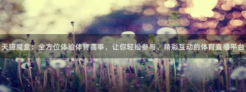 蓝鲸体育直播在线观看网球：天猫魔盒：全方位体验体育赛事，让你轻松参与、精彩互动的体育直播平台