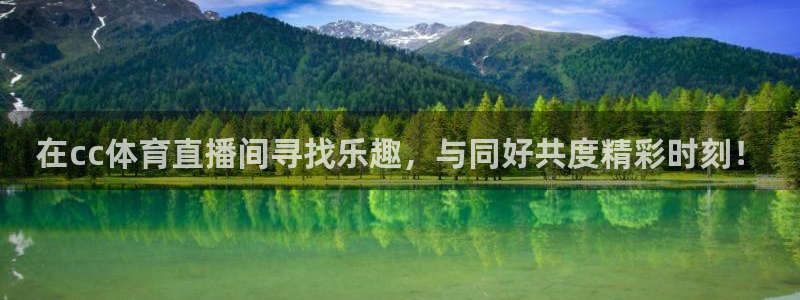 蓝鲸直播体育app：在cc体育直播间寻找乐趣，与同好共度精彩时刻！