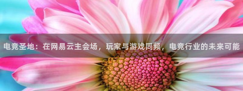 蓝鲸直播足球直播