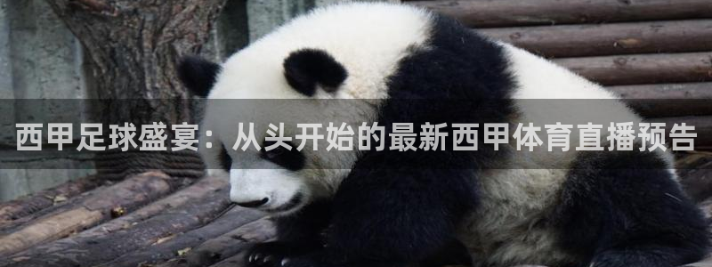 蓝鲸鱼直播：西甲足球盛宴：从头开始的最新西甲体育直播预告
