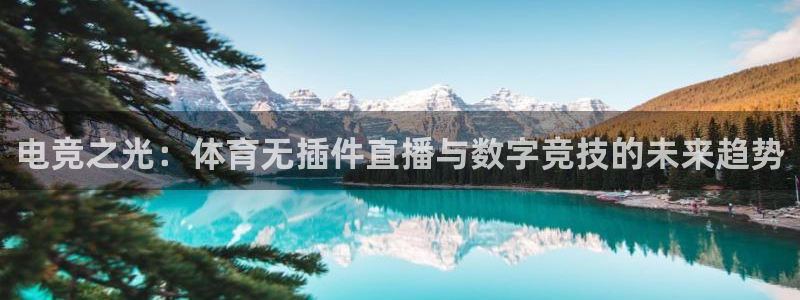 蓝鲸体育免费直播入口：电竞之光：体育无插件直播与数字竞技的未来趋势