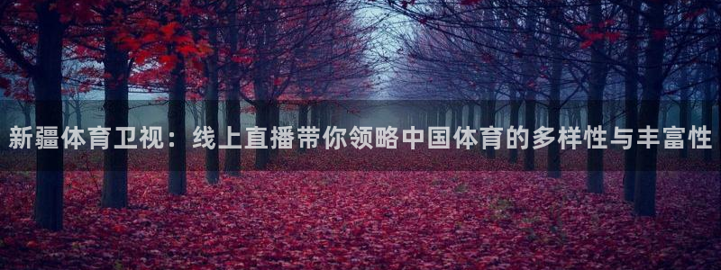 蓝鲸体育在线观看：新疆体育卫视：线上直播带你领略中国体育的多样性与丰富性