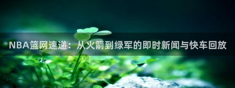 蓝鲸直播体育直播在线观看：NBA篮网速递：从火箭到绿军的即时新闻与快车回放